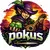 Pokus
