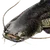 kaya